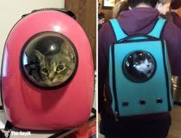 En Pratik Ve Ucuz Kedi Tasima Sirt Cantasi Cok Cilgin