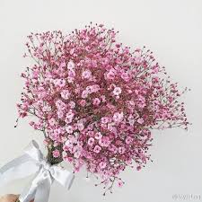 满天星的花语是 清纯 关怀 恋爱 配角 真爱 纯洁美好的心灵 flower aesthetic flower garden gypsophila