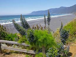 lost coast hiking californias most rugged coastline steemit