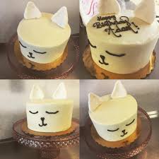 Homemade A Kitty Cat Cake Chocolate Cake Vanilla Buttercream Fondant Ears Http Ift Tt 2mkrrz6 Timbeta Cat Cake Cake Buttercream Fondant