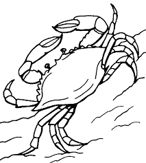 Free Printable Crab Coloring Pages For Kids Blue Crabs Art Crab Art Crab Painting