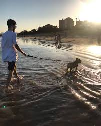 Noah Westphal (@bull_noah) • Instagram photos and videos