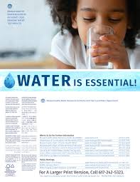 WATERIS ESSENTIAL!