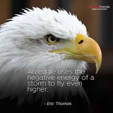 You are only given a little spark of madness, you mustn't lose it. 200 Inspirational Eagle Quotes Live Life With Attitude Positive