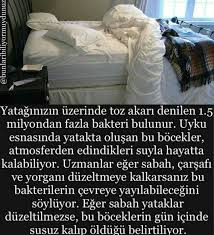 O Zaman Yasasin Tembellik Gizli Bilgi Bilgi Alintilari Biliyor Muydunuz