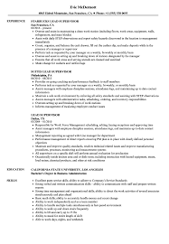 lead supervisor resume samples velvet
