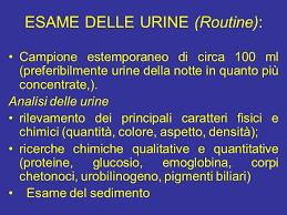 Risultati immagini per esami delle urine