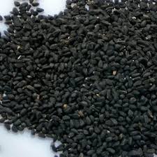 Laurus azorica ( franco (1960) — лавр азорский; Nigella Sativa Black Cummin
