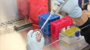 Many countries and some states require negative polymerase chain reaction (pcr) tests taken within a certain amount of what you'll usually need for travel is a pcr test (polymerase chain reaction). Kovid 19 Tanisinda En Guvenilir Sonucu Pcr Testi Veriyor