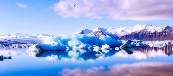 Reference number will generate and save it. Fair Pay In Island Wie Island Fair Pay Weltmeister Wurde