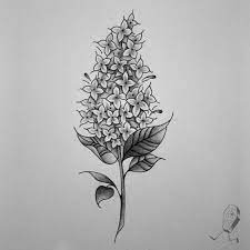 Lilac Study For Tomorrow Really Enjoying Floral Designs Lately It Ain T All Skulls And Spiders You Know Lilac Tattoo White Flower Tattoos White Tattoo