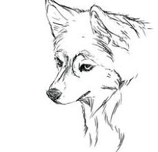 Get all of hollywood.com's best movies lists, news, and more. Realistic Huskies Coloring Pages B111 Coloring Pages Award