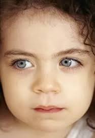 The Old Mill, Bridge of Allan Print, Stirling, Scotland 1910s. Art Prints,  Posters & Puzzles from Mary Evans