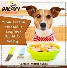 Choose The Best Pet Food To Keep Your Dog Fit And Healthy Petgalaxy Contact 96048 55883 Address Shop No 4 Waghere Empire Morwadi Pimpri Pune Maharash