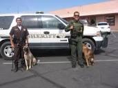 Siblings manage La Paz County sheriff's K-9 unit | News ...