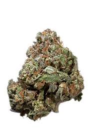 Buy Santa Maria Cannabis Strain at a Dispensary Near You