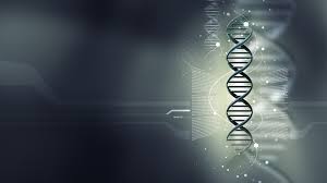Chemistry Full Hd Wallpaper Medical Wallpaper Free Desktop Wallpaper Desktop Wallpaper