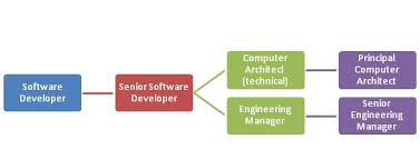 Career Path Definition Importance Example Overview