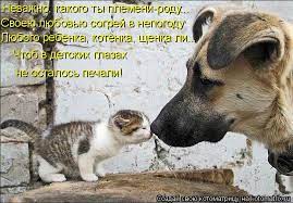 лШшжд какого ты племени-роду, щщ^шгабовью согрей в непогоду Л&amp;amp;amp;^ЕШщенка,  котенка, щенка ли Чтоб, Щет / котоматрица / смешные картинки и другие  приколы: комиксы, гиф анимация, видео, лучший интеллектуальный юмор.