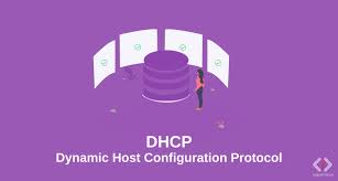 This is a great opportunity to get academic help for your assignment. Apa Itu Dhcp Server Dan Apa Kelebihan Dhcp Susantokun