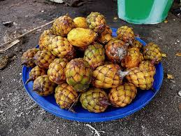 Image result for Raphia sese