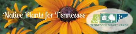 Native Plant Website