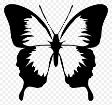 Butterfly Black Butterfly Images Black And White Free Download Butterfly Png Images Stunning Free Transparent Png Clipart Images Free Download