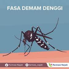 Selama tempoh pemulihan, perhatikan gejala dhf tertentu seperti dehidrasi kerana ini cenderung terjadi. Farmasi Najah Fasa Demam Denggi Demam Denggi Bermula Secara Mengejut Mempunyai 3 Fasa 1 Fasa Demam 2 7 Hari Demam Akan Bermula Dengan Demam Kuat Yang Mengejut Suhu 40
