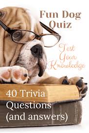 As of oct 25 21. Dog Trivia Questions And Answers Dog Quiz Breeds Facts Waggy Tales