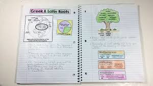 Root Word Tree And Other Vocabulary Freebies The Illustrated Classroom Root Words Root Words Activities Greek Latin Roots