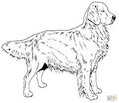You might also be interested in coloring pages from dogs category. Golden Retriever Coloring Page Golden Retriever Dog Coloring Page Free Printable Coloring Pages Albanysinsanity Com Puppy Coloring Pages Dog Coloring Page Dog Coloring Book