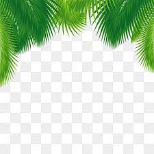 5.2 membuat poster dengan kalimat yang mudah diingat. Gambar Daun Tropis Hijau Pamflet Poster Spanduk Png Dan Vektor Dengan Latar Belakang Transparan Untuk Unduh Gratis Pohon Palem Liburan Pulau Tropis
