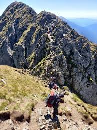Vârful găina, masivul găina este denumirea geografică a vârfului găina, care este cel mai înalt vârf al masivului găina, situat în partea centrală a lanțului muntos al carpaților occidentali, având 1.486 m. Traseul Balea Varful Moldoveanu È™i Inapoi Intr O Zi The Gadgetist