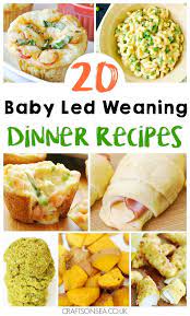 20 Delicious Baby Led Weaning Dinner Ideas Baby Food Recipes Baby Dinner Baby Led Weaning Recipes