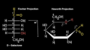 Why Is The Answer To This Next Step Qbank Question C? I Thought Only  Aldehydes Are Reducing Sugars : R/Mcat