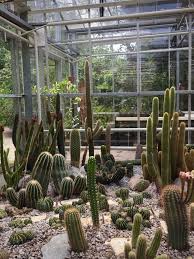 Kakteen Sammlung Im Botanischen Garten Trompenburg Rotterdam Foto Von Mickey Ga Botanischen Garten Botanical Gardens Garden Illustration Arboretum