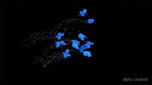 Blue Butterflies Animation By 3d Background Videohive Choose from 10+ glowing butterfly graphic resources and download in the form of png, eps, ai or psd. blue butterflies animation
