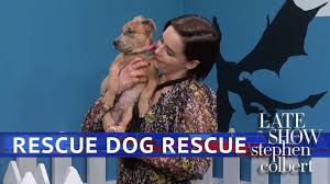 Double dog rescue is a reputable animal rescue utilizing best practices to save dogs. Rescue Dog Rescue Game Of Thrones Edition With Emilia Clarke Youtube