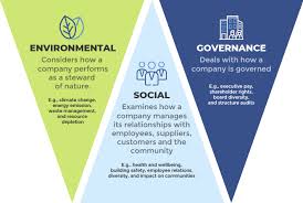Cdw•g is a leading provider of technology products and solutions for healthcare organizations of all sizes. Environmental Social And Governance Dedalus Mea
