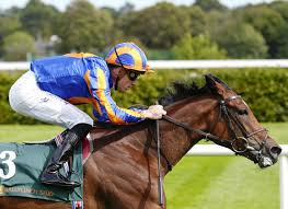 Shinjini chakraborty only fans i wish I would have seen