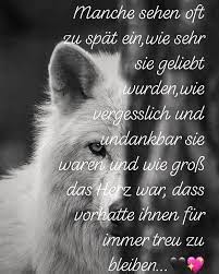 Marilyn monroe zitat hunde beissen mich nie nur menschen zitate beruhmter personen. Liebe Wolf Narbe Gebrochenesherz Mauer Beziehungsspruche Partner Tranen Gebrochen Hundeliebe Broken Heart Relationship Scar