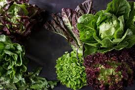 A lettuce variety that is sweet & mild in the winter may become bitter or bolt in the heat of summer. 15 Of The Best Types Of Lettuce To Add To Your Salad Bowl Eatingwell