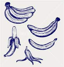 Bunch Of Bananas Peeled Banana And Banana Peel Vector Image On Vectorstock Vector Sketch Drawing Sketches Oil Pastel Paintings