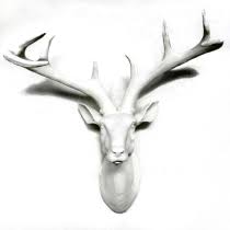 Image result for Allophylus rubifolius