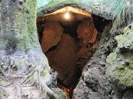 Eco Cave Gardens