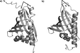 Diese kleidung passt fürs kino. Die Pictet Spengler Reaktion In Der Natur Und Der Organischen Chemie Stockigt 2011 Angewandte Chemie Wiley Online Library