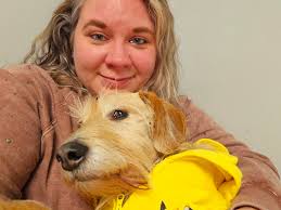 Will belly hair grow back after ultrasound?