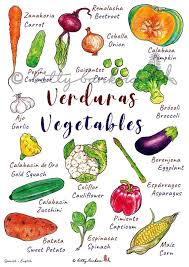 Large A2 Bilingual Poster Vegetables Verduras Spanish English Educational Wall Chart Classroom Bedroom Decoration Illustrated Language Sweet Potato Spinach Vegetables Vegetable Chart