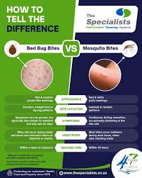 Image result for mosquito bite