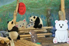 Sorry, there are no tours or activities available to book online for the date(s) you selected. Birthday Celebration Held For Giant Panda Cubs At Toronto Zoo 1 Chinadaily Com Cn